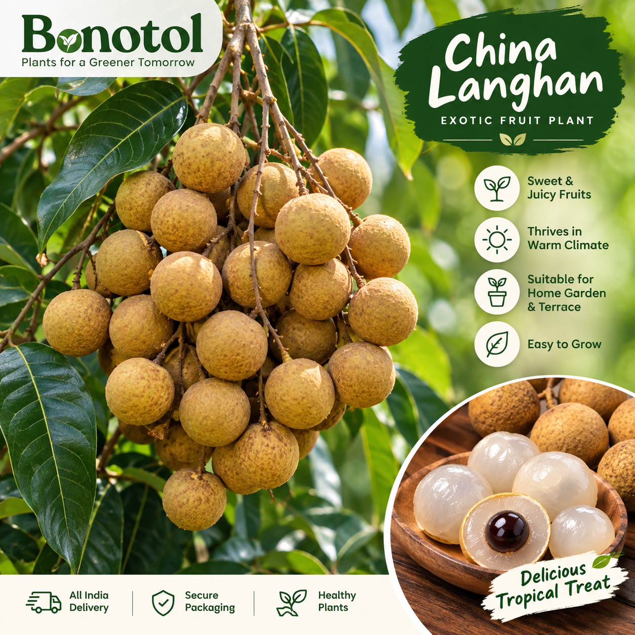 China Langhan