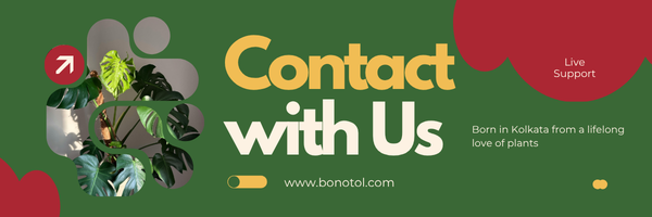 Bonotol contact banner with Monstera plant on green background.